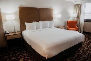 Radisson Hotel St Paul Downtown - 6