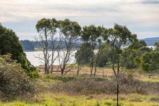 Serene Farmhouse with Lake Views - 4