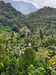Linn View Home Stay Munnar - 1