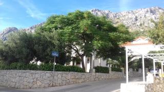 Apartments Erceg - Omiš - 6