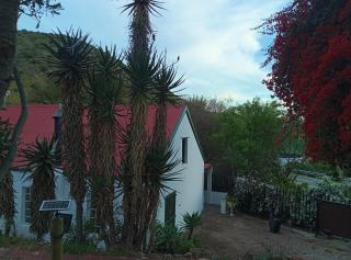 Lalapanzi guest cottage - 2