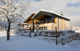 Haus Sonnblick Chalet - 9