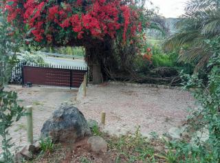 Lalapanzi guest cottage - 6