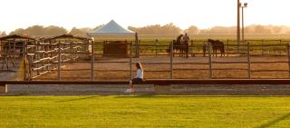 Agriturismo Giuncola & Granaiolo - 7