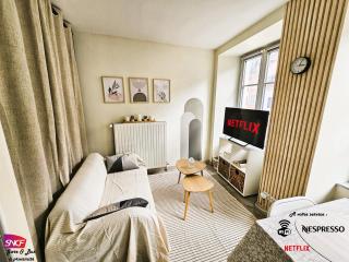 Luxury apartment city center Montbeliard - 0