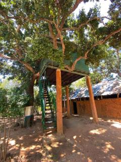 Yala Wild Tree House - 0