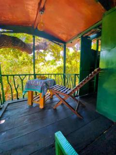 Yala Wild Tree House - 1