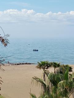Appartamento Nettuno - Nettuno - 5
