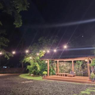 petak guest house - 4