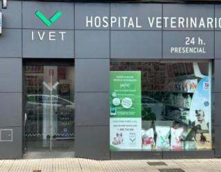Apartamento Turístico Nanielles Sella Playa - VUT 3050AS - Ribadesella - 8