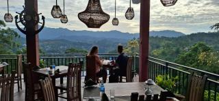 Shining Green View - 3