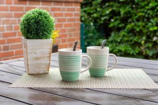 Ferienwohnung Ambiente mit Haustier - 8