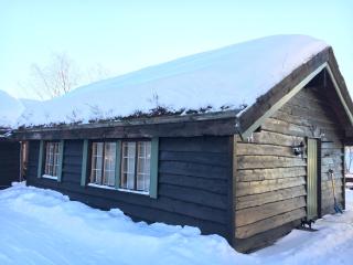 A Cozy, Rustic Retreat With Fireplace And Terrace - 4