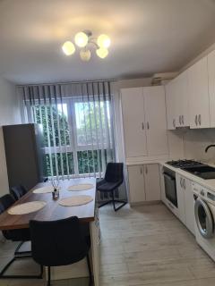 Luxury Property with 1bdm Radauti - 5