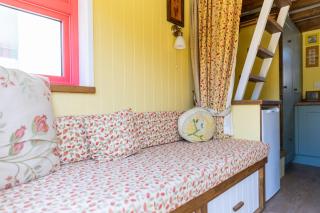 Toad Hall - 5