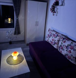 Georgeous lux apartment - 0