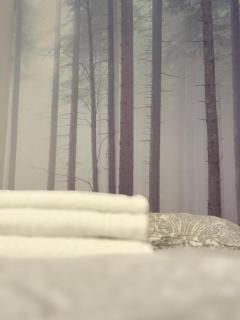 Zabrsaint P E R F E C T Select zII - 8