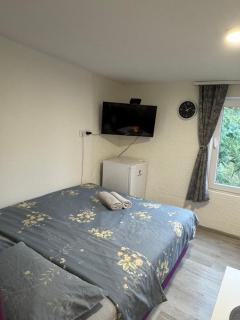 Georgeous lux apartment - 4