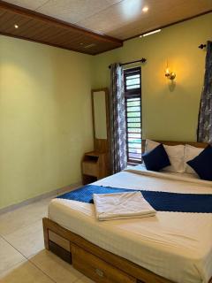 Banasura Mountain Villa - 3