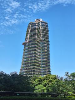 Carnelian Tower 1森林城市 海景房 - 7