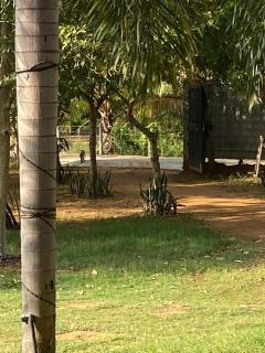 Sunway Family Resort - Anuradhapura - 9