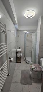Loft Craiova Apartament - 2