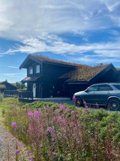 Bjarnebu - 4 bedroom cabin in Rauland - 9