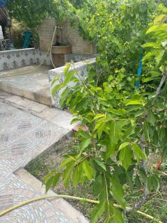 Duplexe familiale avec jardin - 2
