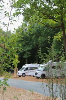 Glamping Park Schloss Thurn - 7