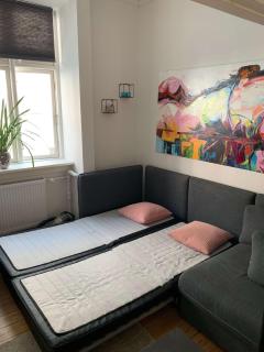 Central Copenhagen Cozy Apt Near Tivoli & Nyhavn - 1