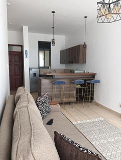 Cosy and Elegant apartment - 1