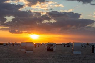216 große Ferienwohnung Schwalbennest - 8