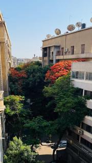 Garden city downtown haven 2BDRM - 9