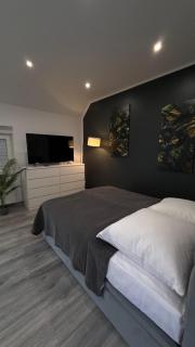 Geräumige Einzimmerwohnung in Quakenbrück - Quakenbrück - 0