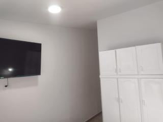 DEPARTAMENTO CENTRICO, PEATONAL, c - 8