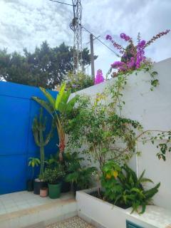 Sidi Bou House - 8