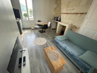 Le Nid du Rempart Charmant Appt 2p TOURS centre - 9