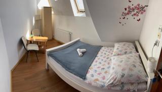 Strych Kościuszki - duży - Szczecin - 4