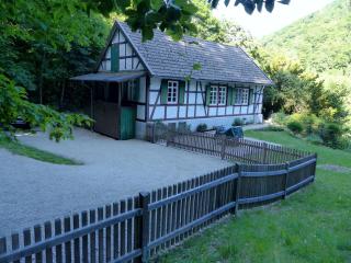 Waldhaus Staufenbergblick in Zorge - 9