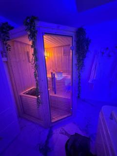 Loveroom de luxe avec jacuzzi sauna vapeur écran 300 cm - 7