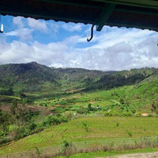 Kookal Candle Wood House - 3