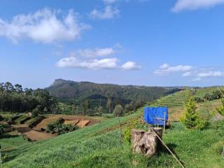 Kookal Candle Wood House - 2