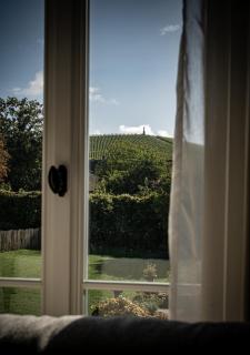 Le Clos Corbier - 6