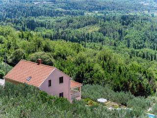 Villa Oliva - 2