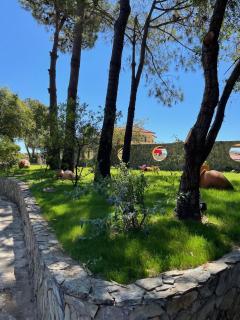 Quinta Dos Amarelos no Meco - 8