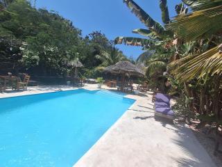 Zanzi-Barbar-Home - 3