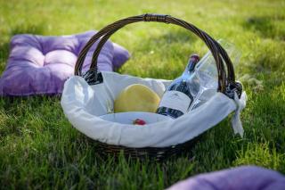 Istria Rosa in Pula - Istrien - 2