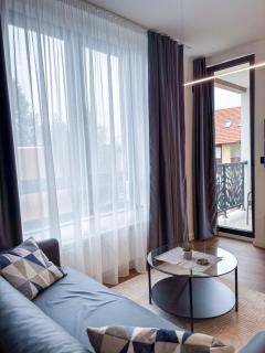New Apartment Moderna SPA&FUN Zlatibor Centar - 4