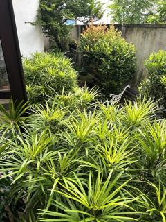 Moonbeam Villa - 5