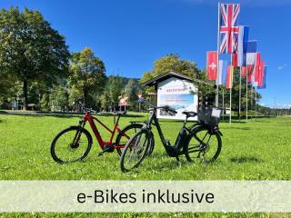 BERGFEX Söllerblick mit e-Bikes und Sommer-Bergbahnticket - 9